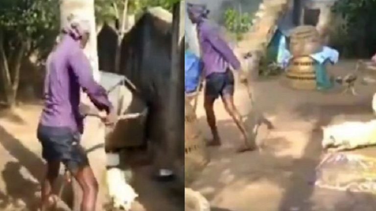 …और अब कुतिया के साथ इंसानी बर्बरता, कुल्हाड़ी से मारते-काटते हुए युवक का Video वायरल