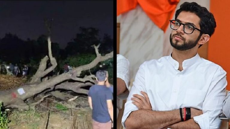 पेड़ों की कटाई पर शिवसेना का यू-टर्न: मेट्रो शेड का किया था विरोध, अब कोस्टल रोड प्रोजेक्ट के लिए कहा – ‘अनिवार्य है काटना’