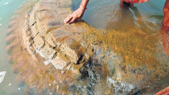 गोपीनाथ मंदिर, महानदी, ओडिशा