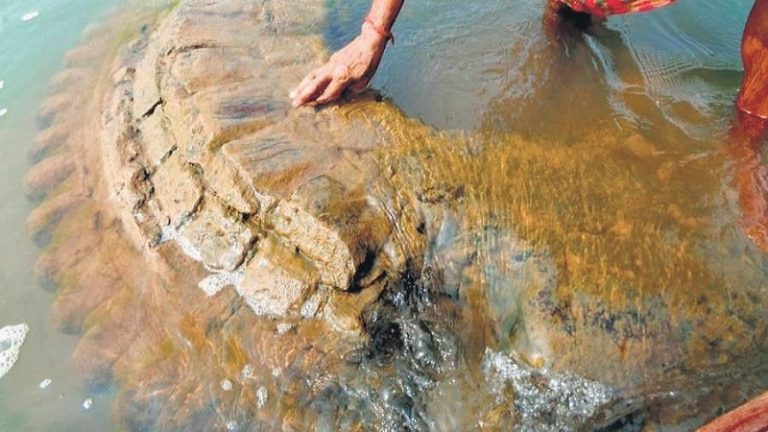 ओडिशा: महानदी में 11 साल बाद उभरा 500 वर्ष पुराना गोपीनाथ मंदिर, देखने को जुटी भीड़