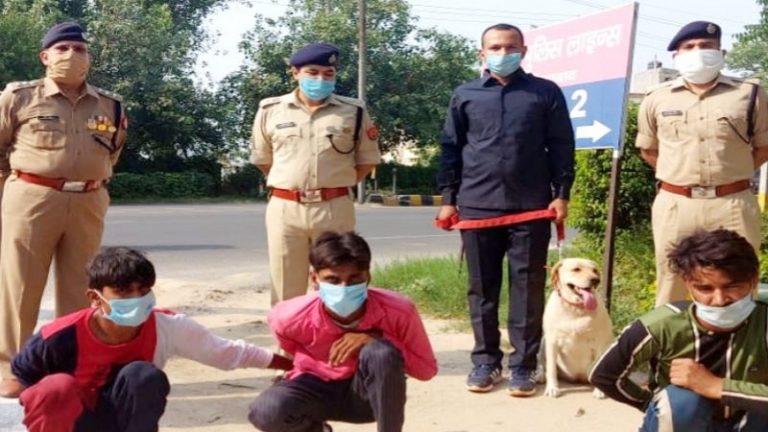‘मुझे छोड़ दो, मेरी माँ मेरा इंतजार कर रही होगी’: दलित विवेक की आदिल, सलमान और मोहसिन ने की थी हत्या, पूरी डिटेल