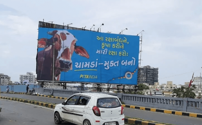 रक्षाबंधन PETA इंडिया