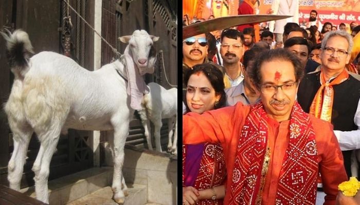 उद्धव सरकार की प्रतीकात्मक कुर्बानी की अपील नहीं आई पार्टी के नेताओं को रास, कॉन्ग्रेस के आरिफ़ नसीम सहित कई नेताओं ने किया विरोध