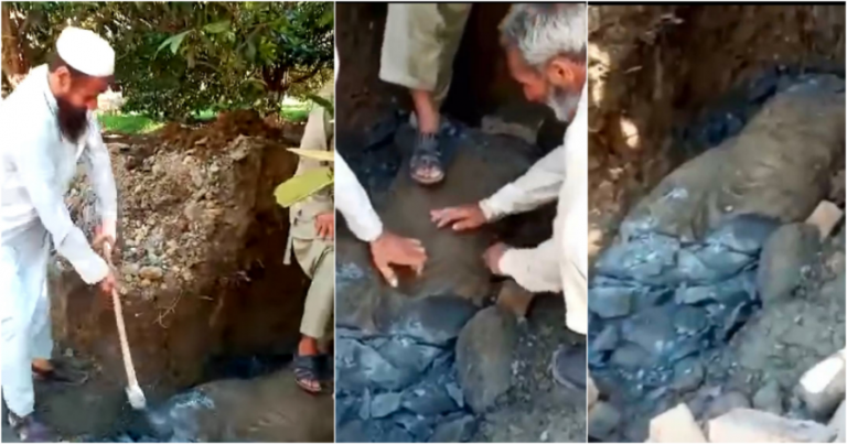 पाकिस्तान में मिली 1700 साल पुरानी गांधार सभ्यता की बुद्ध मूर्ति ‘गैर-इस्लामिक’ कहकर मजदूरों ने किया चकनाचूर: गिरफ्तार