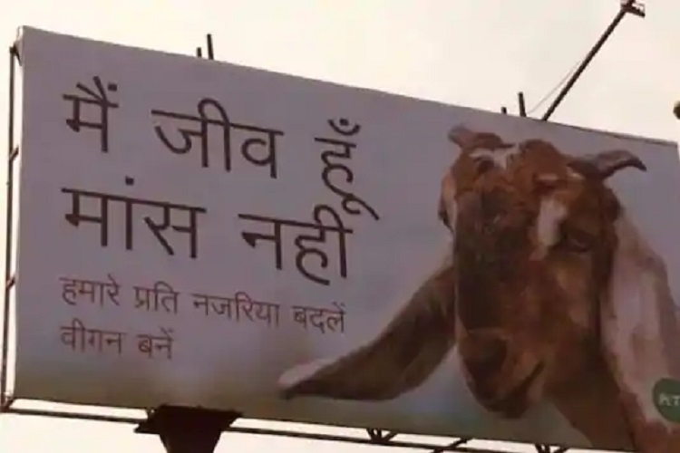 बकरीद के पहले बकरे से प्यार वाले पोस्टर पर बवाल: मौलवियों की आपत्ति, लखनऊ में हटाना पड़ा पोस्टर