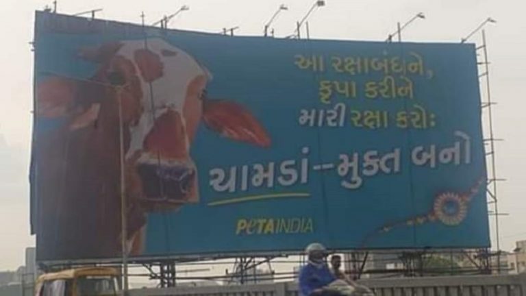 97% जानवरों की हत्या, 90% डोनेशन हवाबाजी पर खर्च: जल्लाद भी है हिंदूफोबिक PETA