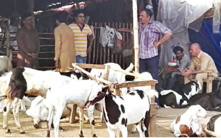 बकरीद पर कुर्बानी तो ठीक लेकिन उसके अवशेष फेंकने पर पाबंदी: सिंध हवाई अड्डे के लिए आया ऑर्डर