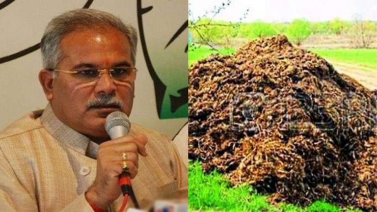 चोरों ने चुराया 100 किलो गोबर, कॉन्ग्रेसी सरकार की ‘गोबर’ योजना के बाद चिंता में किसान