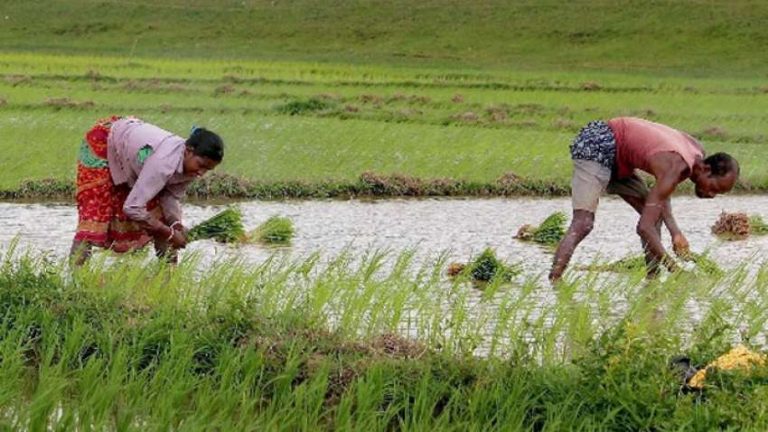 महाराष्ट्र के धुले से लेकर यूपी के कानपुर तक, किसान ऐसे कर रहे हैं कृषि बिलों का समर्थन