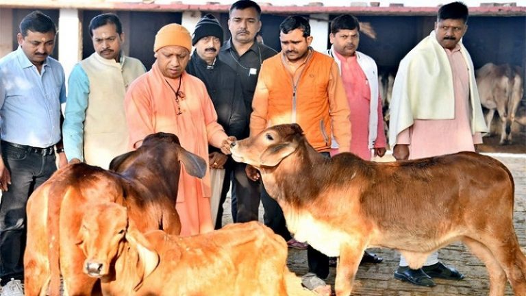 यूपी की योगी सरकार कुपोषित परिवारों को देगी गाय: भरण-पोषण के लिए 900 रुपए भी मिलेंगे हर माह