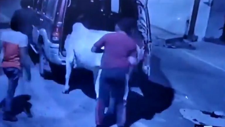 ‘गाय को बचा लो, उठा कर ले जा रहे तस्कर’ – फोन पर हँसती रही राजस्थान पुलिस, फिर गोरक्षकों पर हंगामा क्यों?