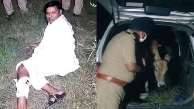 गोकशी के लिए बछिया लेकर जा रहा फुरकान अली गिरफ्तार: मुठभेड़ में पुलिस ने पाँव में मारी गोली, घायल