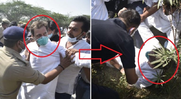 हाथरस पर पॉलिटिक्स करते भाई-बहन गिरफ्तार, पुलिस से धक्का-मुक्की के बाद झाड़ियों में गिरे राहुल गाँधी