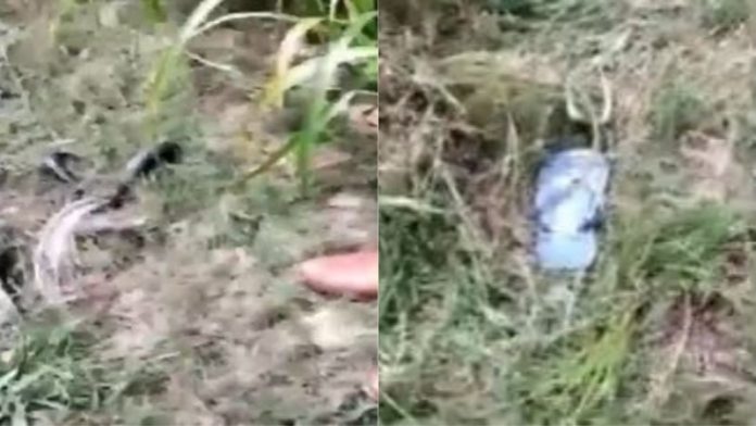 हाथरस केस, वीडियो