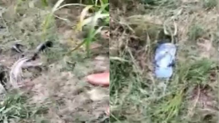 हाथरस केस: देखिए, वारदात की जगह से 14 सितंबर का Video, मृतका से 3 मीटर की दूरी पर थी उसकी माँ…
