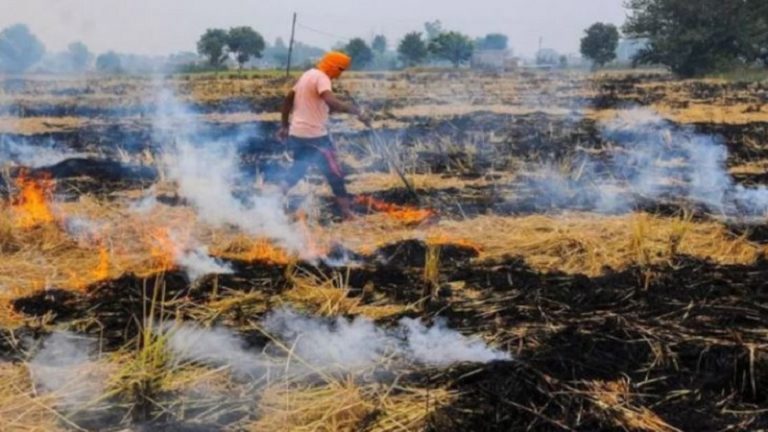 कोरोना महामारी के प्रकोप के बीच पंजाब सरकार की लापरवाही, पिछले साल के मुकाबले जलाई 4 गुना ज्यादा पराली