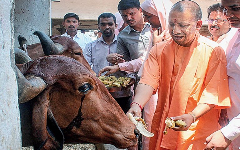 गौहत्या करने वालों को हर हाल में भेजा जाएगा जेल, हम गौ माता की रक्षा के साथ खिलवाड़ नहीं होने देंगे: CM योगी