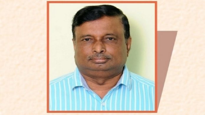 के नारायण, कर्नाटक, भाजपा, राज्यसभा