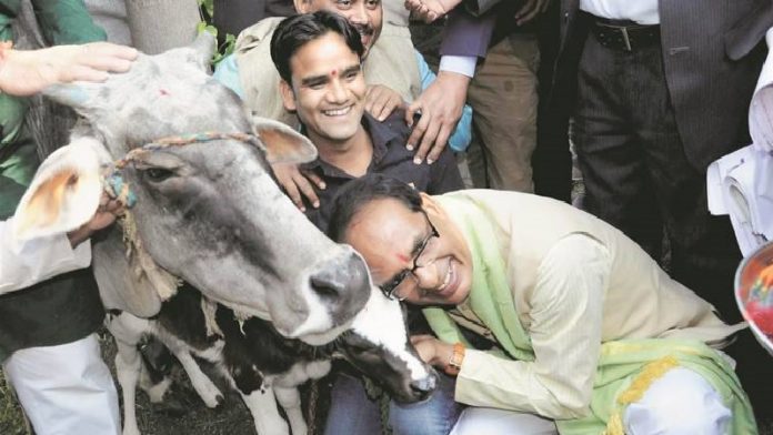 मध्य प्रदेश, गौ कैबिनेट