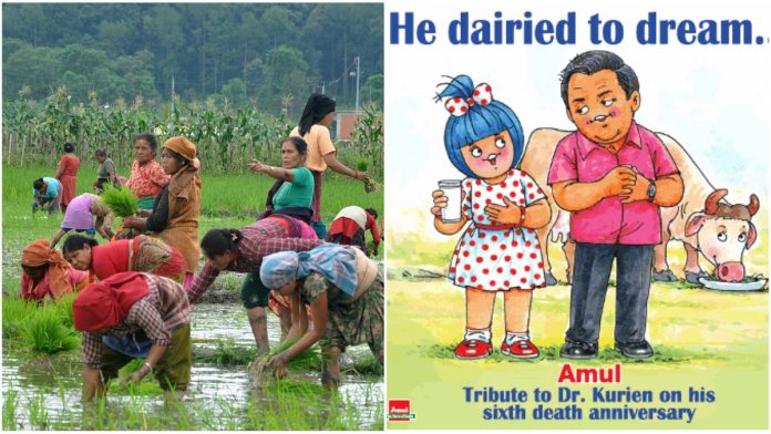 Msp amul MSP की गारंटी कृषि अर्थव्यवस्था