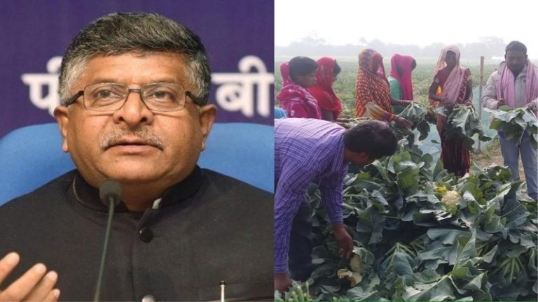 समस्तीपुर में गोभी की फसल पर हल चलाने वाले किसान को नए कृषि कानून से मिला 10 गुना भाव: जानिए कैसे हुआ संभव