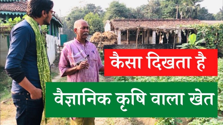 कैसा दिखता है वैज्ञानिक कृषि वाला खेत: अजीत भारती का वीडियो | Raj Narayan’s farm and training centre, Keshabe