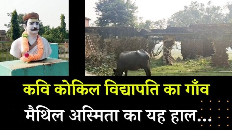 मिथिला के कवि कोकिल विद्यापति की जन्मस्थली उपेक्षित | Vidyapati’s Bisfi ignored, in bad shape