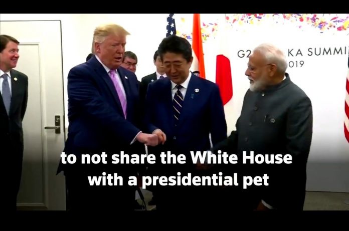 ट्रंप/ पीएम मोदी, रॉयटर्स