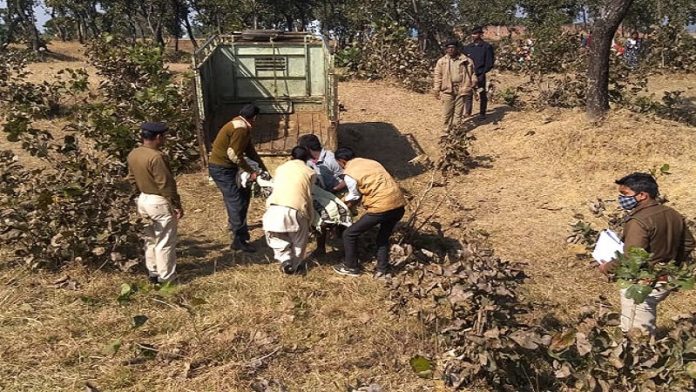 रांची के जंगल में मिली युवती की सिरकटी लाश