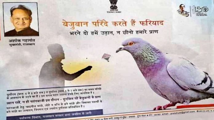 मकर संक्रांति पर गहलोत सरकार का विज्ञापन