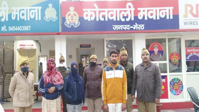 गोकशी