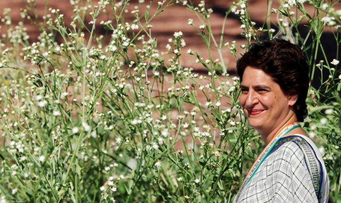 प्रियंका गाँधी