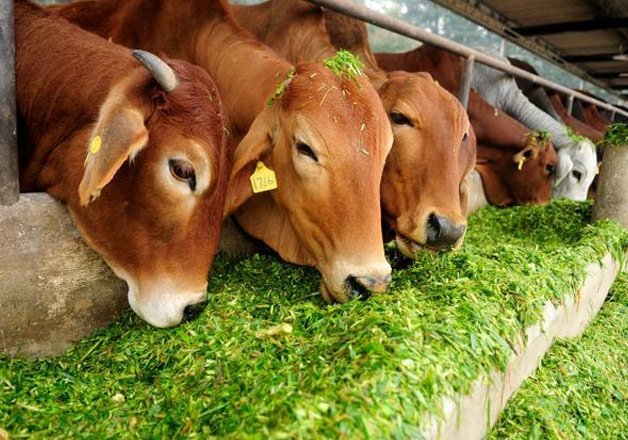 प्रतीकात्मक तस्वीर