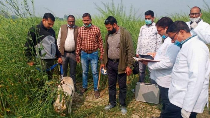 उन्नाव हत्याकांड