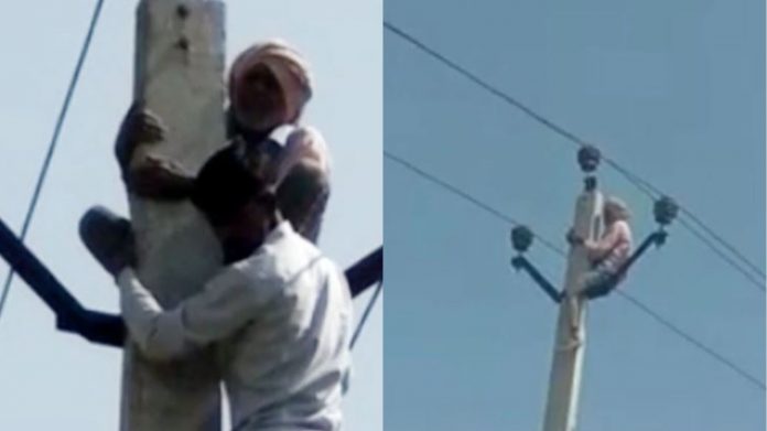 बुजुर्ग शादी बिजली पोल