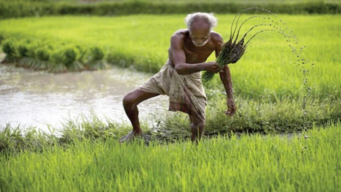 प्रतीकात्मक तस्वीर