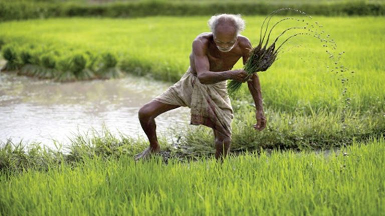 नाममात्र के पैसे में ज्यादा काम करे यूपी-बिहार के मजदूर, इसलिए देते हैं ड्रग्स: पंजाब को चिट्ठी लिख केंद्र ने जताई चिंता