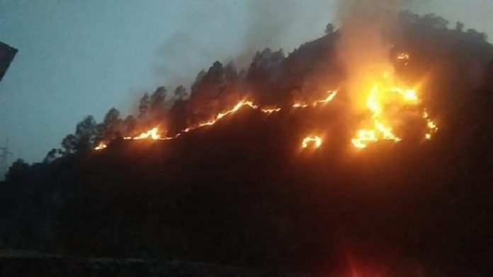 उत्तराखंड जंगल आग