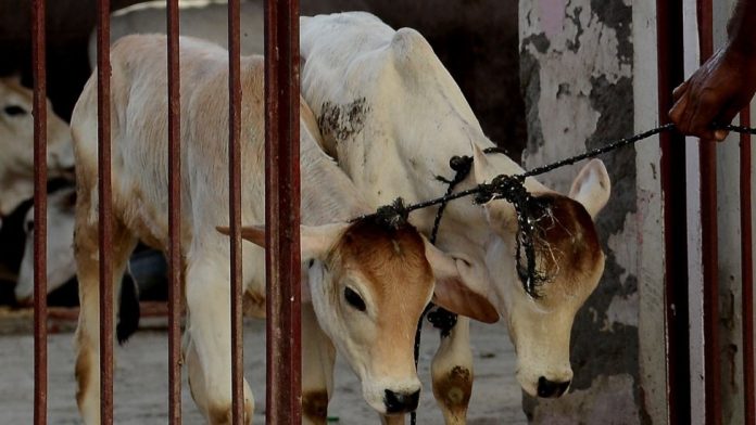 प्रतीकात्मक तस्वीर
