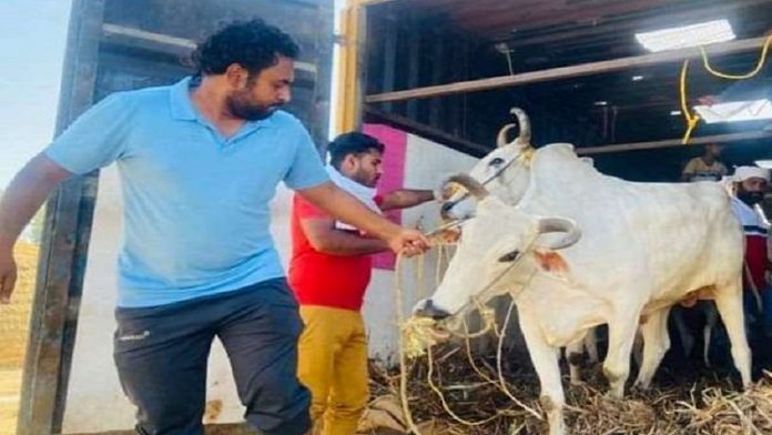 22 गोवंश बचाए गए