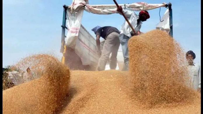 पंजाब में गेंहू की रिकॉर्ड खरीद