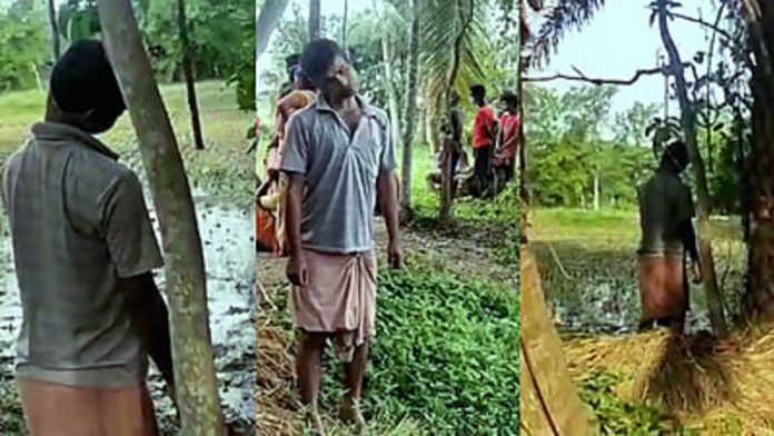 पश्चिम बंगाल, बीजेपी, हत्या