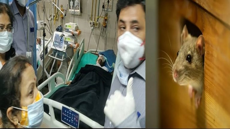मुंबई के अस्पताल का ICU, चूहों ने कुतर दी मरीज की आँख: शिवसेना के कब्जे वाली BMC चलाती है यह हॉस्पिटल