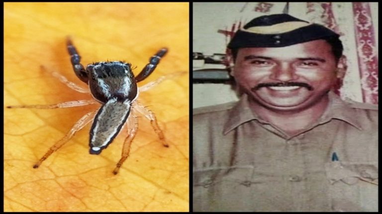 आतंकी कसाब को दबोचने वाले ASI तुकाराम के नाम पर मकड़ी की प्रजाति का नामकरण, जीव वैज्ञानिकों ने दिया विशेष सम्मान