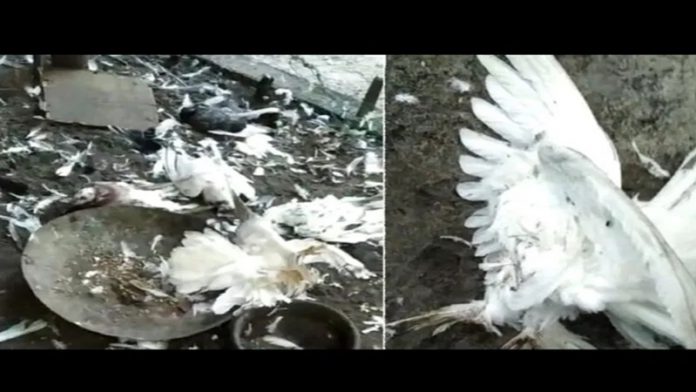 कम्युनिस्ट केरल सेवा भारती