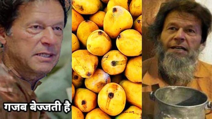 मैंगो डिप्लोमेसी पाकिस्तान