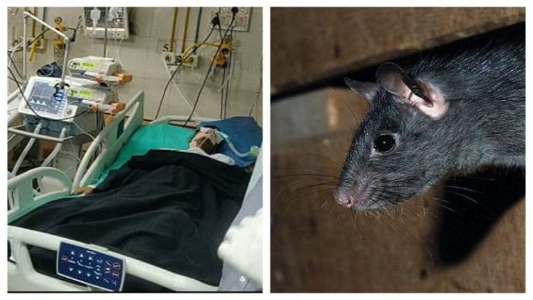 ICU में चूहे ने कुतर दी जिसकी आँख, मर गया 24 साल का वह नौजवान: मुंबई की घटना, BMC का हॉस्पिटल