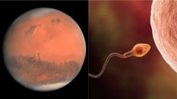 mars, प्रजनन, रिसर्च