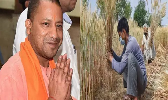 UP गेहूँ खरीद रिकॉर्ड