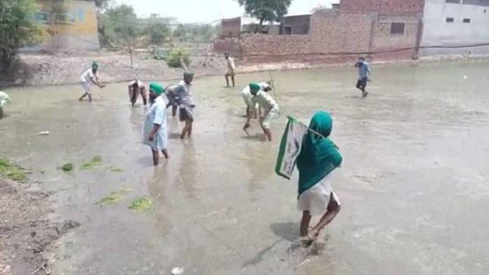 पंजाब, किसान, बीजेपी नेता